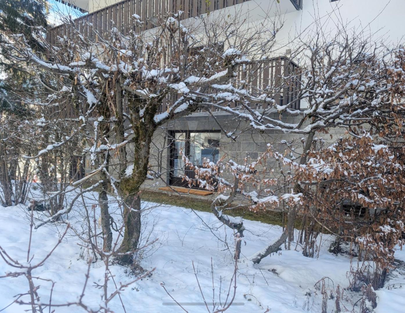 Au Petit Bois Apartment Chamonix Exterior photo